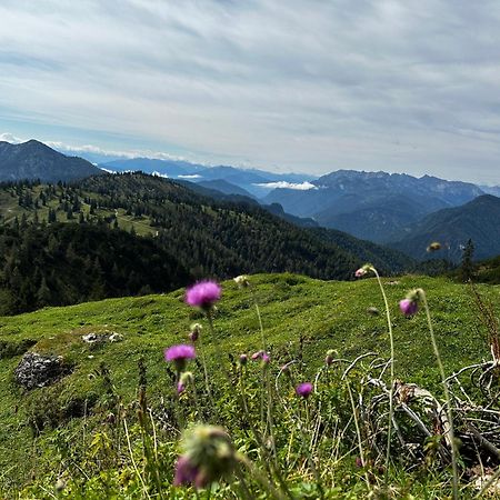 Landhaus Renata Bayrischzell Dış mekan fotoğraf