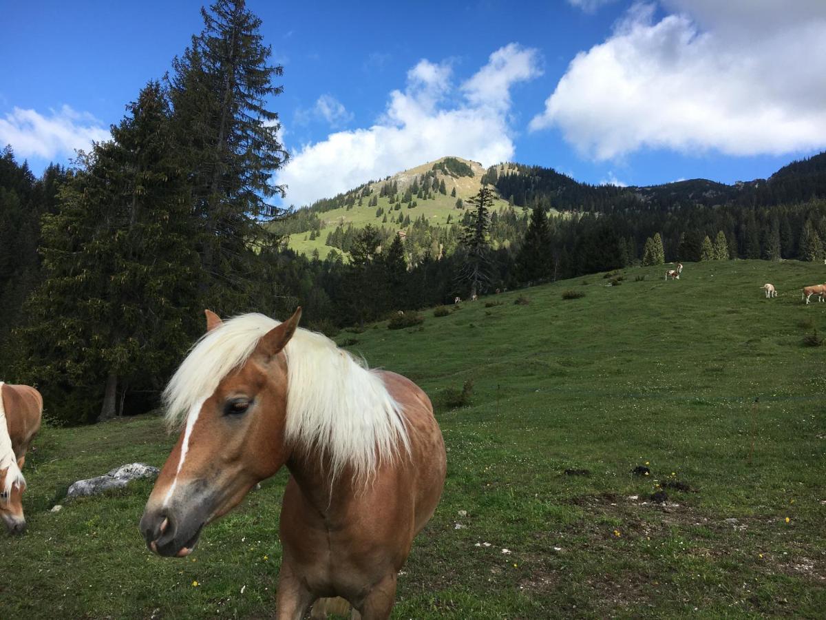 Landhaus Renata Bayrischzell Dış mekan fotoğraf
