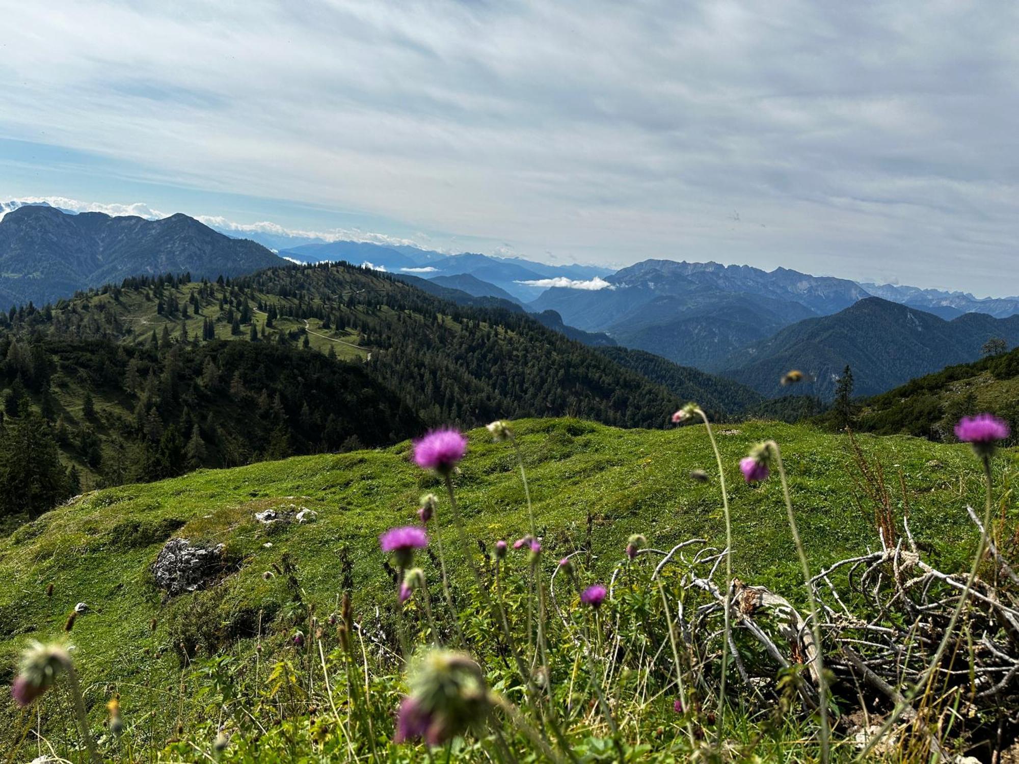 Landhaus Renata Bayrischzell Dış mekan fotoğraf